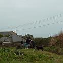 3 Planting Trees (4)